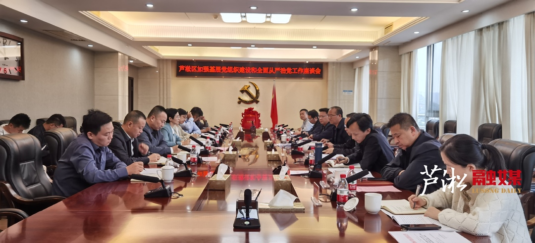 芦淞区召开加强基层党组织建设和全面从严治党工作座谈会