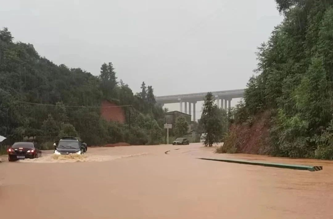 暴雨、積水路段、交通管制，最全信息全在這！