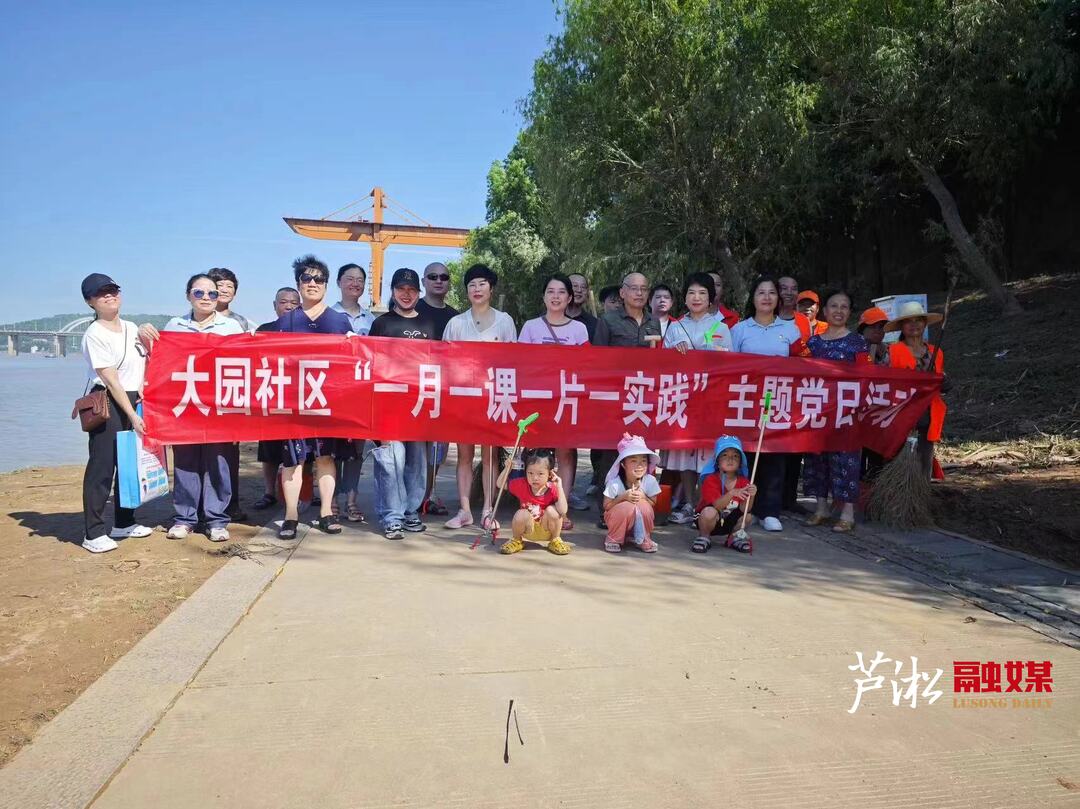 贺家土街道开展”清淤助力护家园 党建引领树新风“志愿服务活动