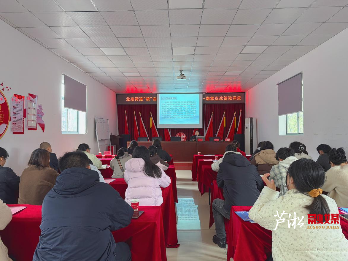 新春走基层|双轮驱动促就业，协同服务零距离 —— 龙泉街道携手“职达站”开启新年政策微课堂