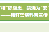 环保科普｜“秸”除隐患，禁烧为“安”——秸秆禁烧科普宣传